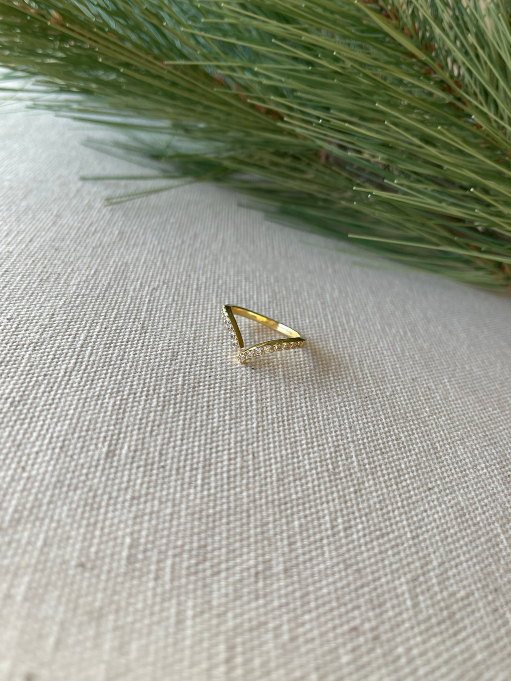 Nikki Ring
